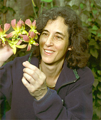 La taxonomiste Anne Bruneau est professeure-chercheuse en systématique moléculaire à l&#39;IRBV et au Département de sciences biologiques. - BruneauAnne